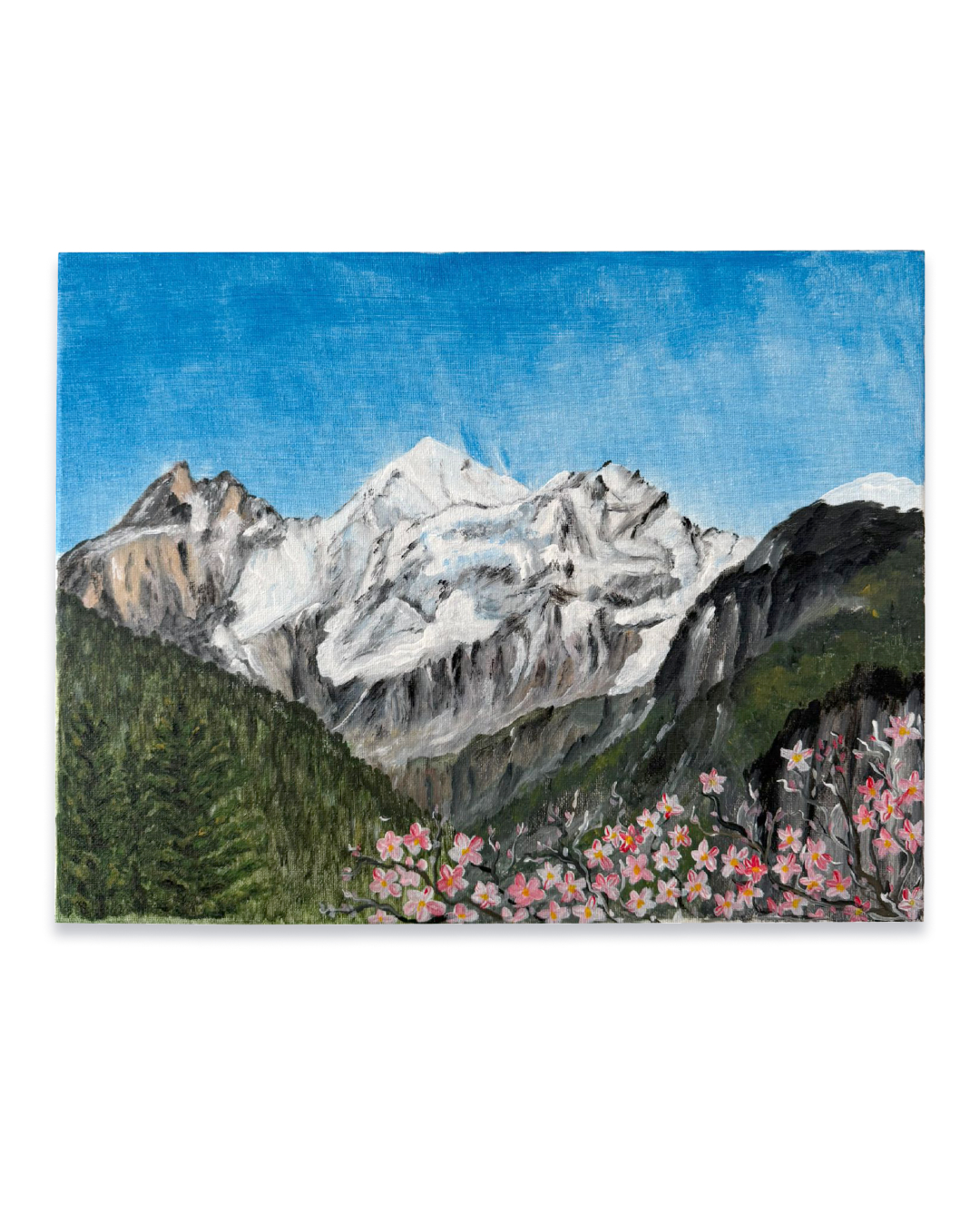 Blüemlisalp im Frühling